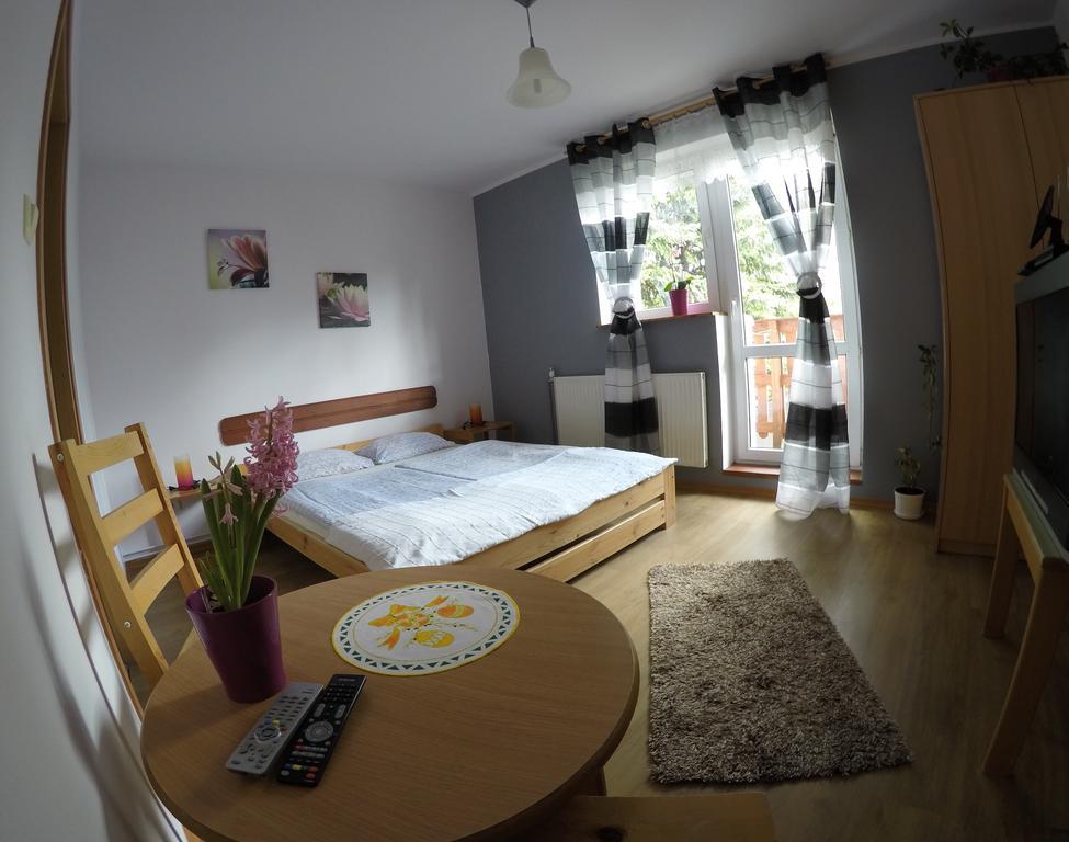 Pokoje Goscinne Boryna Szklarska Poręba Exterior foto